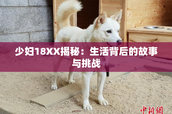 少妇18XX揭秘：生活背后的故事与挑战