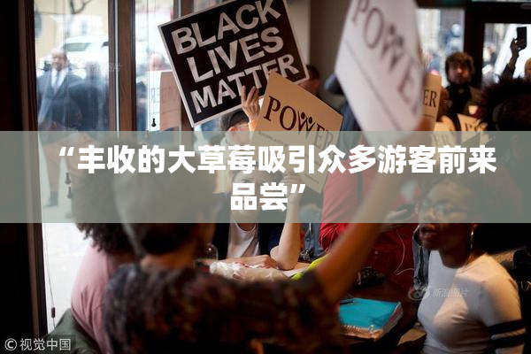 “丰收的大草莓吸引众多游客前来品尝”