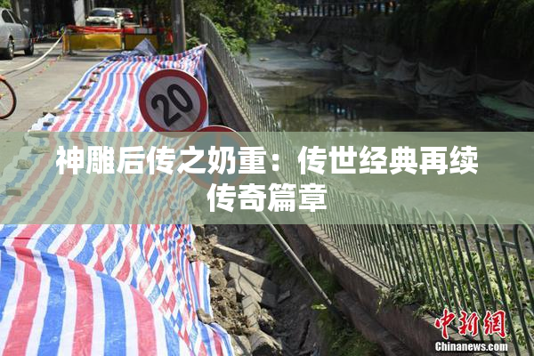 神雕后传之奶重：传世经典再续传奇篇章