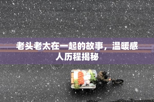 老头老太在一起的故事，温暖感人历程揭秘