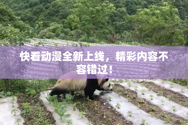 快看动漫全新上线，精彩内容不容错过！