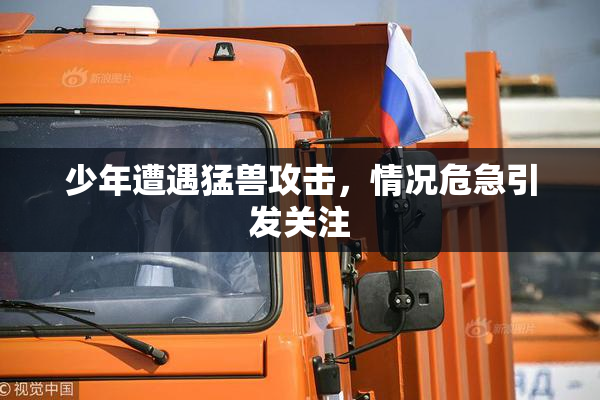 少年遭遇猛兽攻击，情况危急引发关注