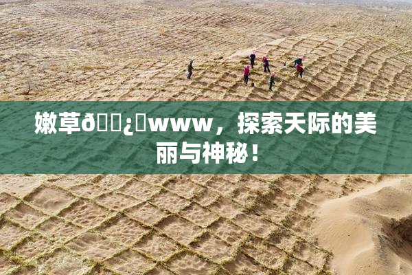 嫩草🌿‌www，探索天际的美丽与神秘！