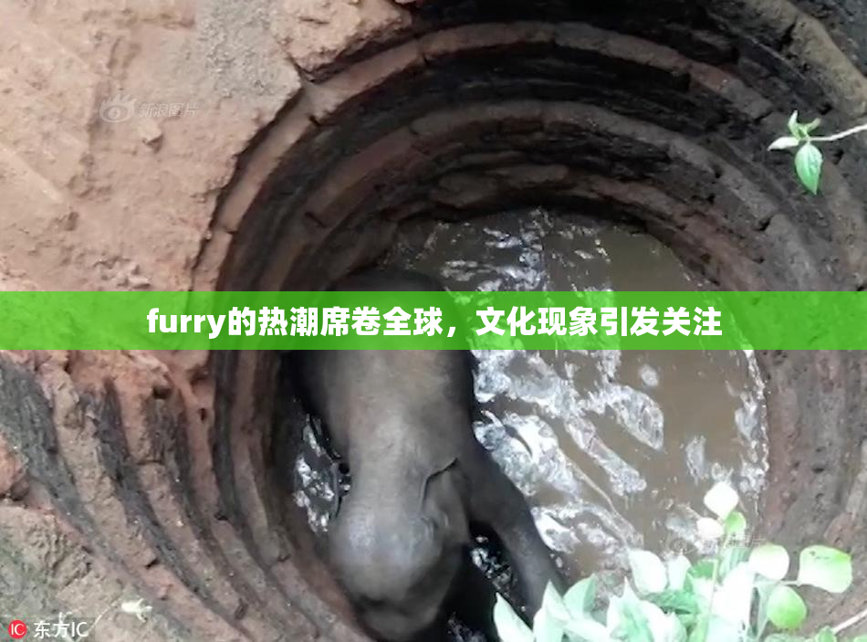 furry的热潮席卷全球，文化现象引发关注