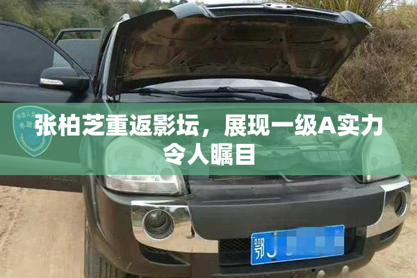 张柏芝重返影坛，展现一级A实力令人瞩目