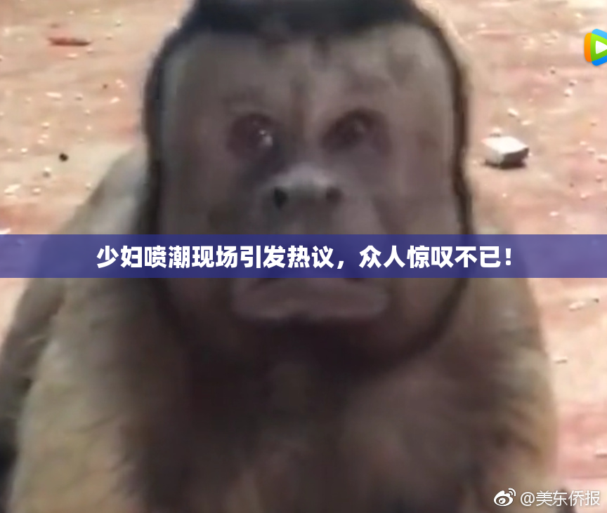 少妇喷潮现场引发热议，众人惊叹不已！