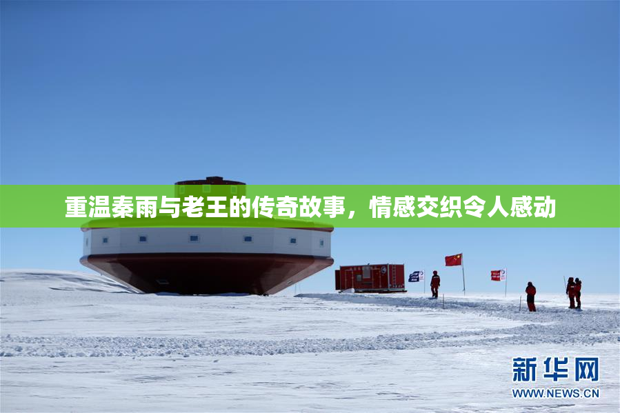 重温秦雨与老王的传奇故事，情感交织令人感动