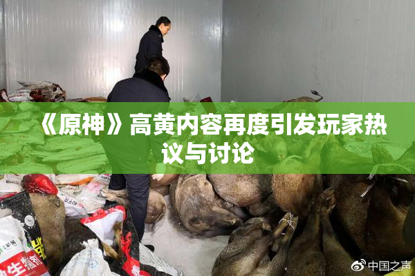 《原神》高黄内容再度引发玩家热议与讨论