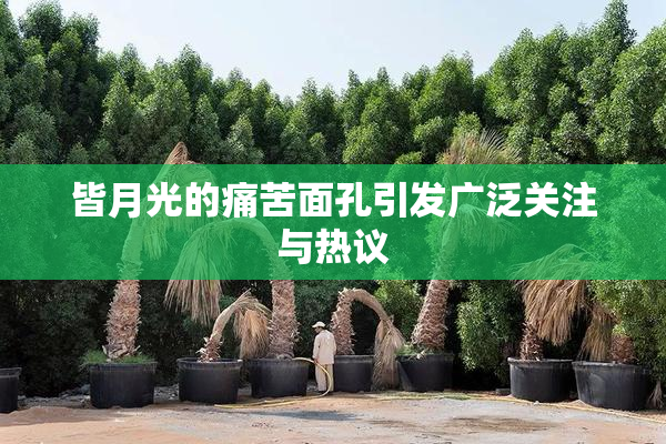 皆月光的痛苦面孔引发广泛关注与热议
