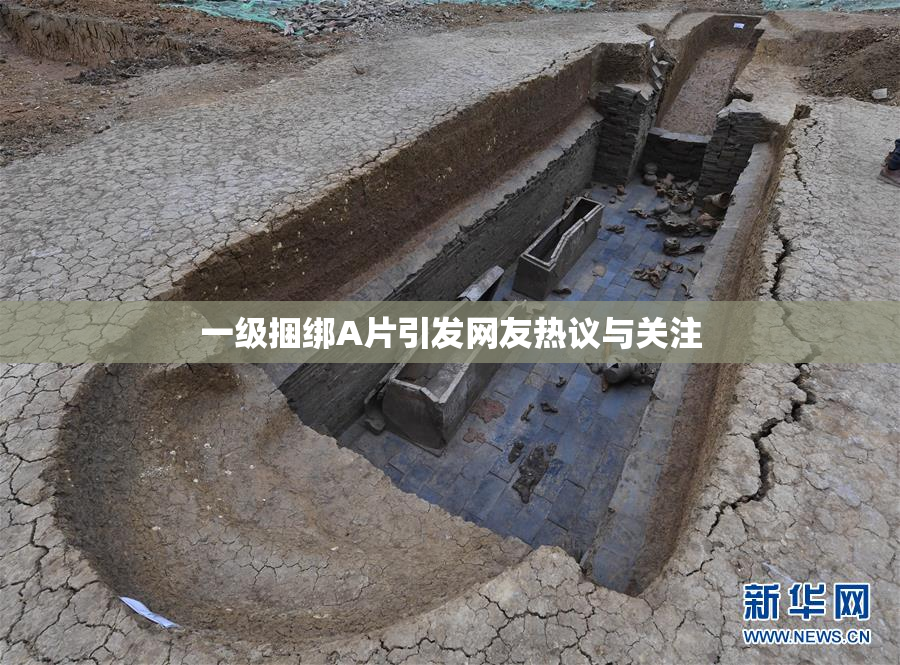 一级捆绑A片引发网友热议与关注