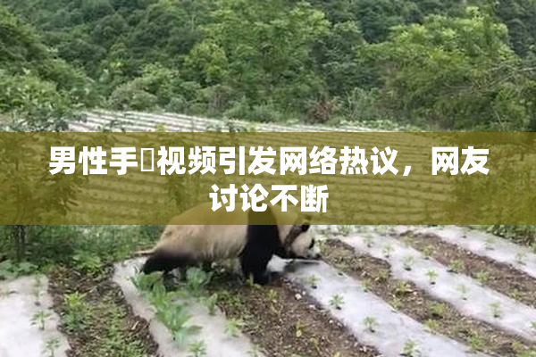 男性手婬视频引发网络热议，网友讨论不断