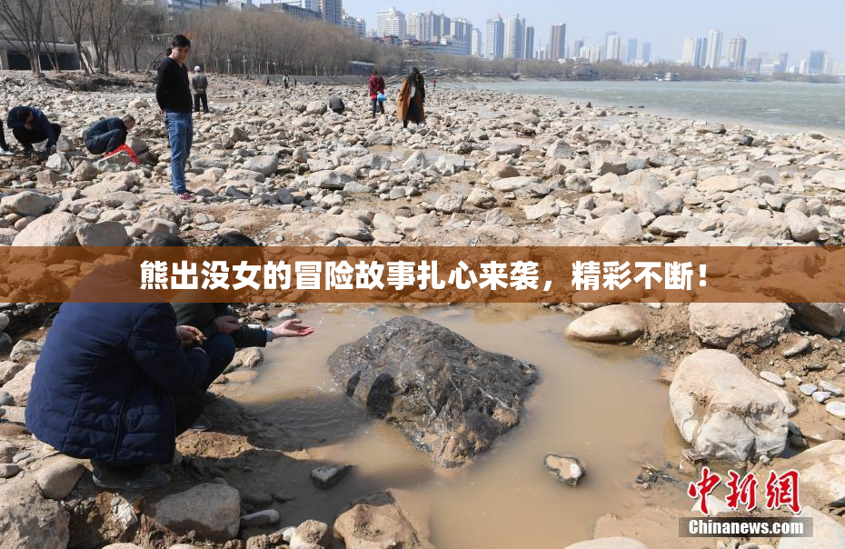 熊出没女的冒险故事扎心来袭，精彩不断！