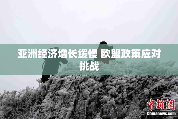 亚洲经济增长缓慢 欧盟政策应对挑战