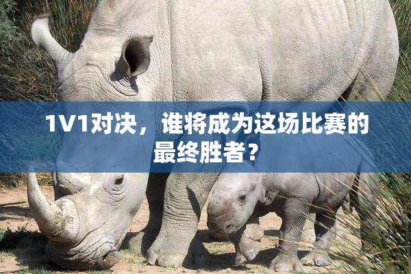 1V1对决，谁将成为这场比赛的最终胜者？