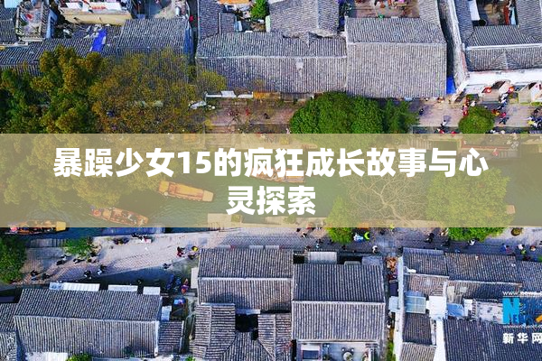 暴躁少女15的疯狂成长故事与心灵探索