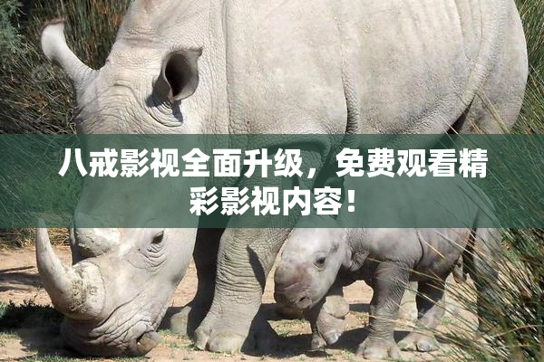 八戒影视全面升级，免费观看精彩影视内容！