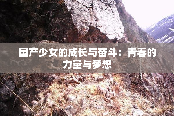 国产少女的成长与奋斗：青春的力量与梦想
