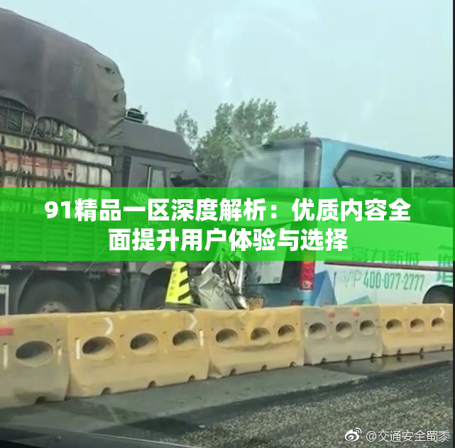 91精品一区深度解析：优质内容全面提升用户体验与选择