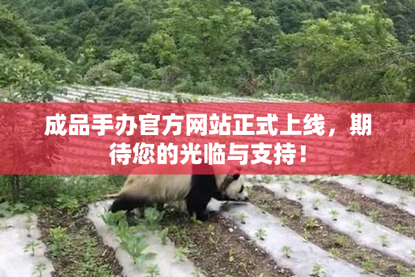 成品手办官方网站正式上线，期待您的光临与支持！