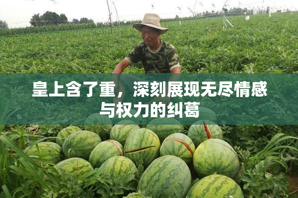 皇上含了重，深刻展现无尽情感与权力的纠葛