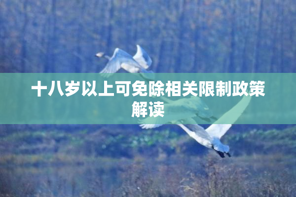 十八岁以上可免除相关限制政策解读