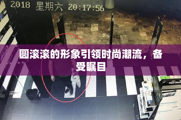 圆滚滚的形象引领时尚潮流，备受瞩目