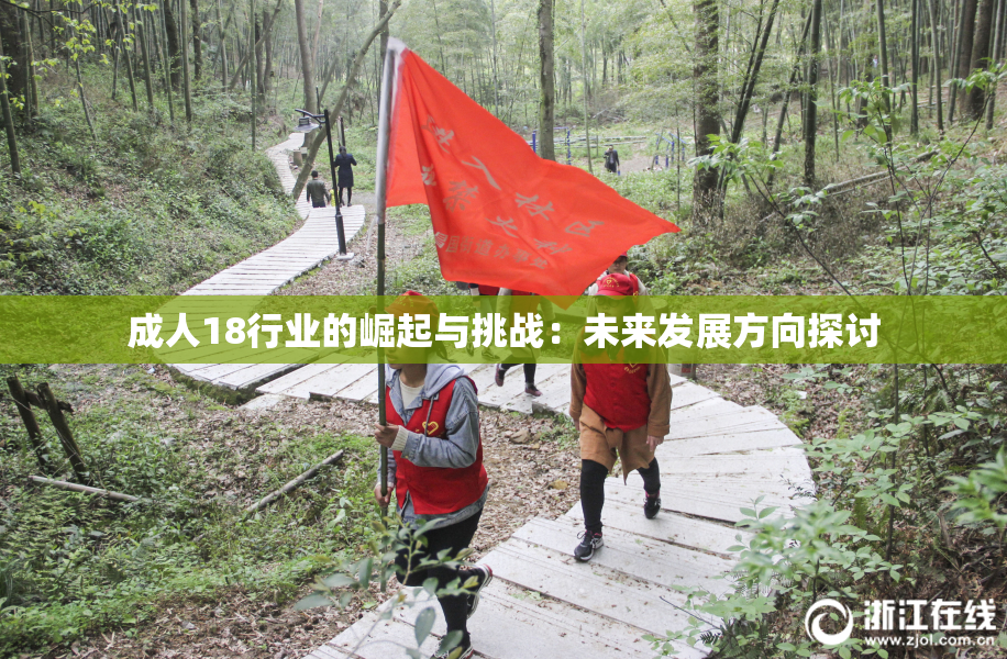 成人18行业的崛起与挑战：未来发展方向探讨
