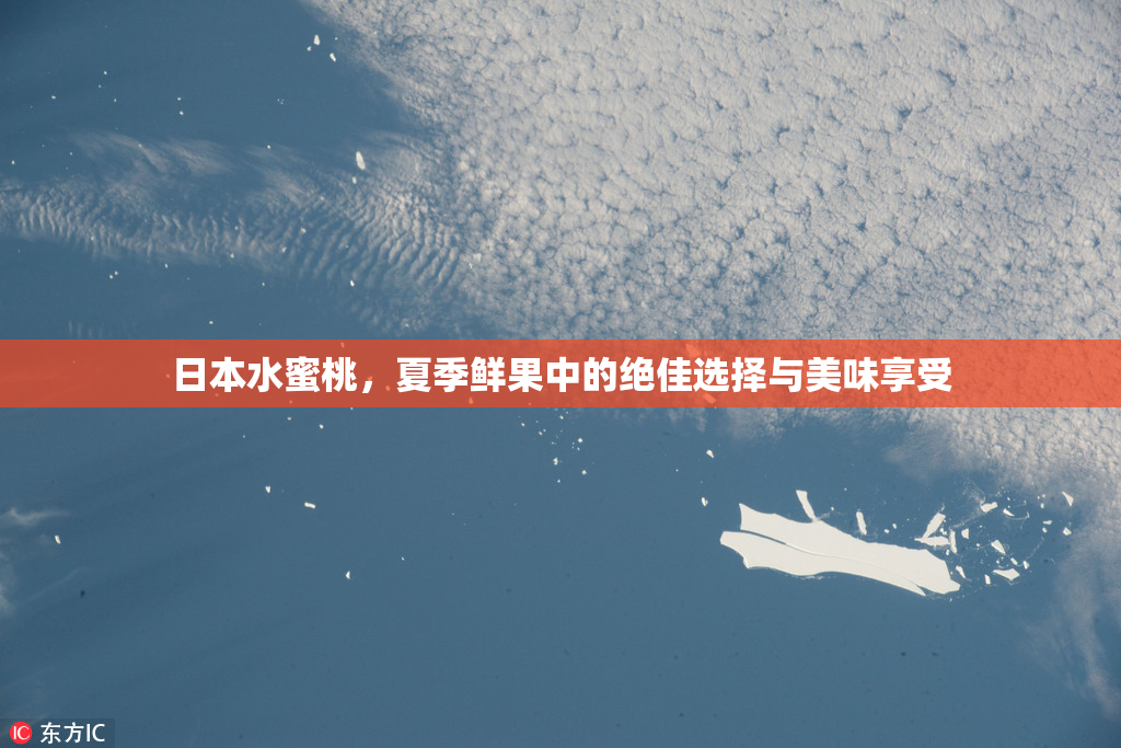 日本水蜜桃，夏季鲜果中的绝佳选择与美味享受