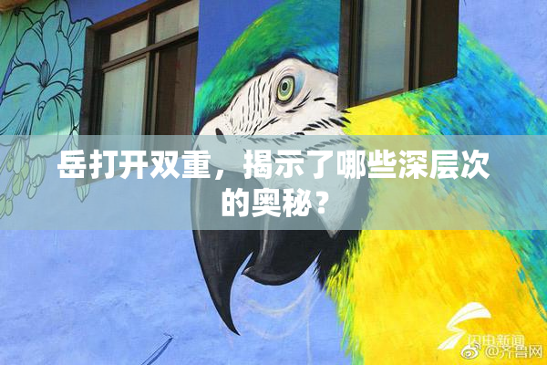 岳打开双重，揭示了哪些深层次的奥秘？
