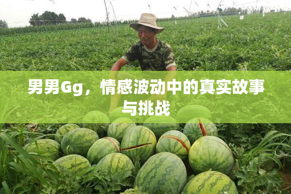 男男Gg，情感波动中的真实故事与挑战