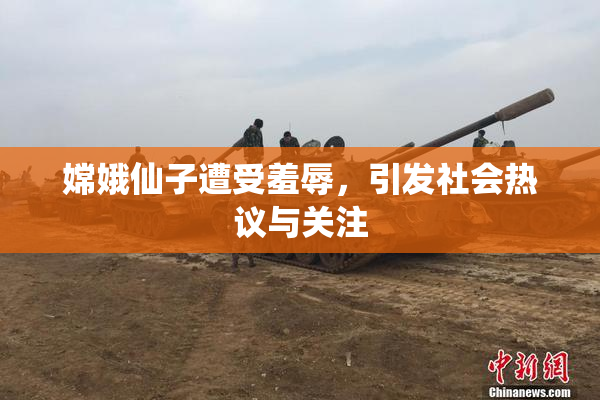 嫦娥仙子遭受羞辱，引发社会热议与关注