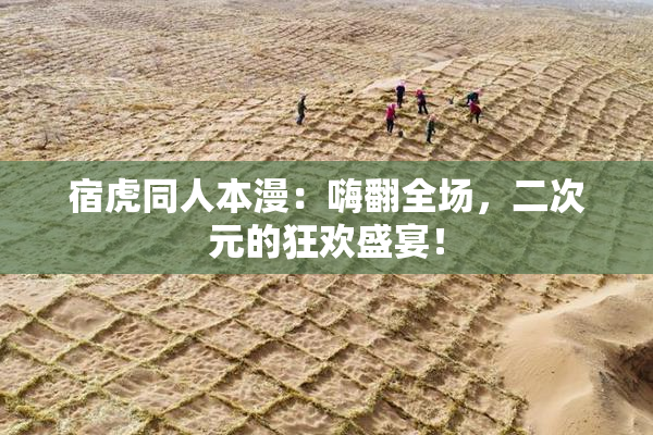 宿虎同人本漫：嗨翻全场，二次元的狂欢盛宴！