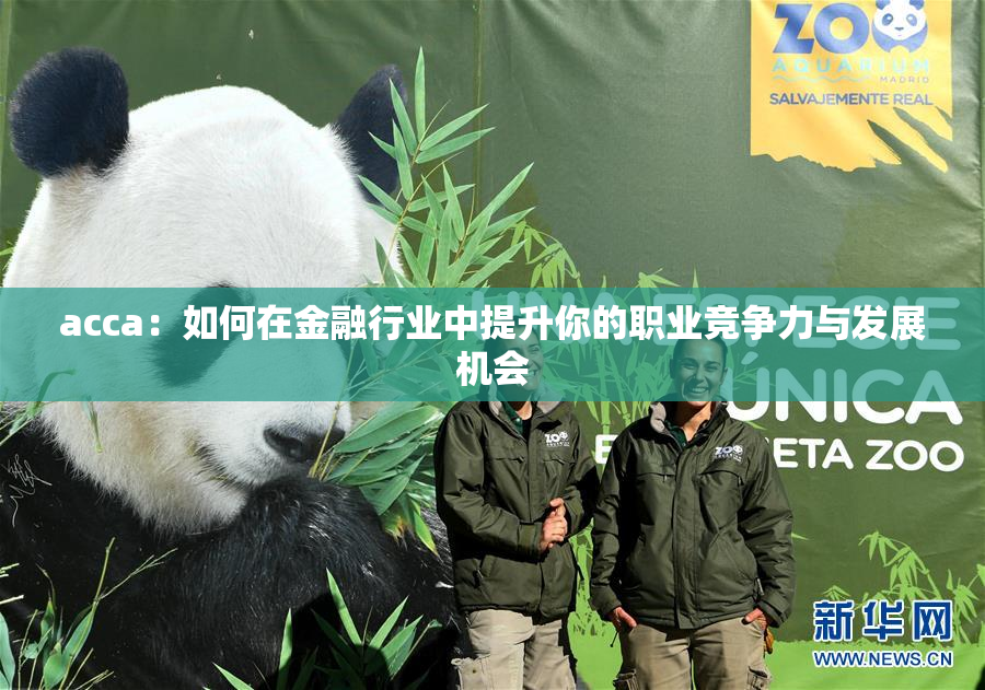 acca：如何在金融行业中提升你的职业竞争力与发展机会