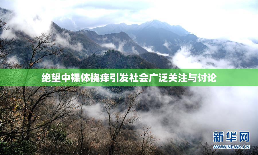 绝望中裸体挠痒引发社会广泛关注与讨论