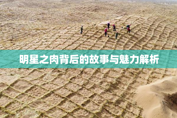 明星之肉背后的故事与魅力解析