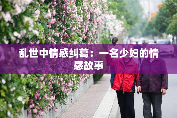 乱世中情感纠葛：一名少妇的情感故事