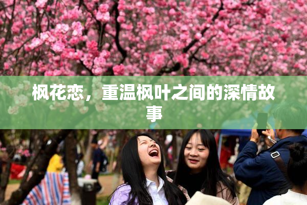 枫花恋，重温枫叶之间的深情故事