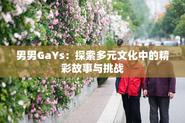 男男GaYs：探索多元文化中的精彩故事与挑战