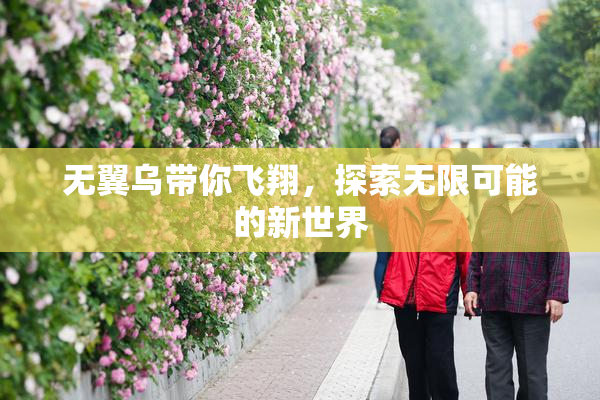 无翼乌带你飞翔，探索无限可能的新世界