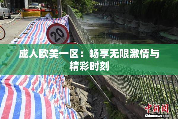 成人欧美一区：畅享无限激情与精彩时刻