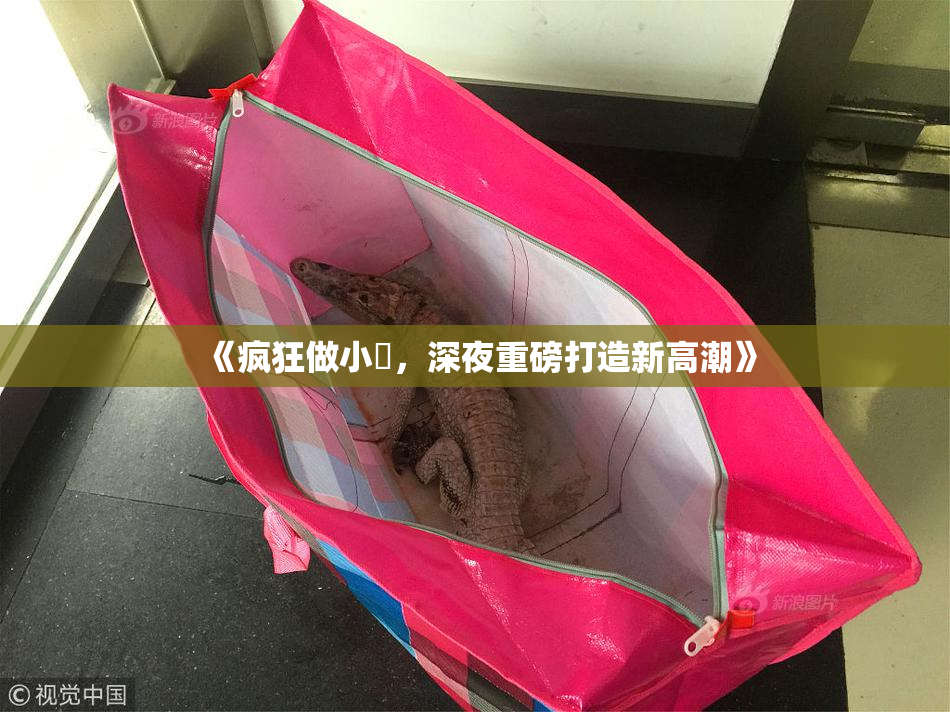 《疯狂做小泬，深夜重磅打造新高潮》