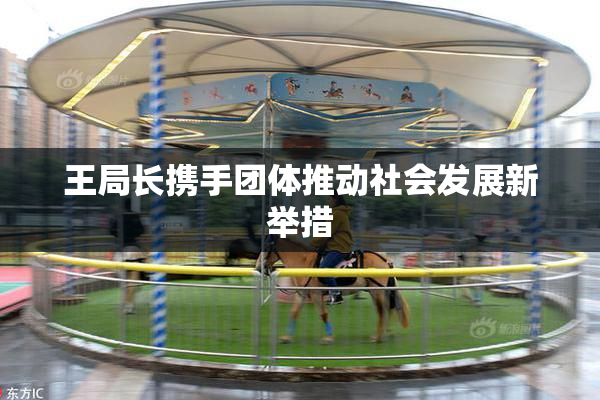 王局长携手团体推动社会发展新举措