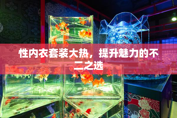 性内衣套装大热，提升魅力的不二之选