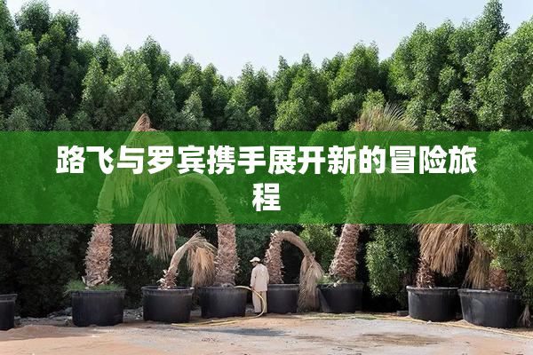 路飞与罗宾携手展开新的冒险旅程