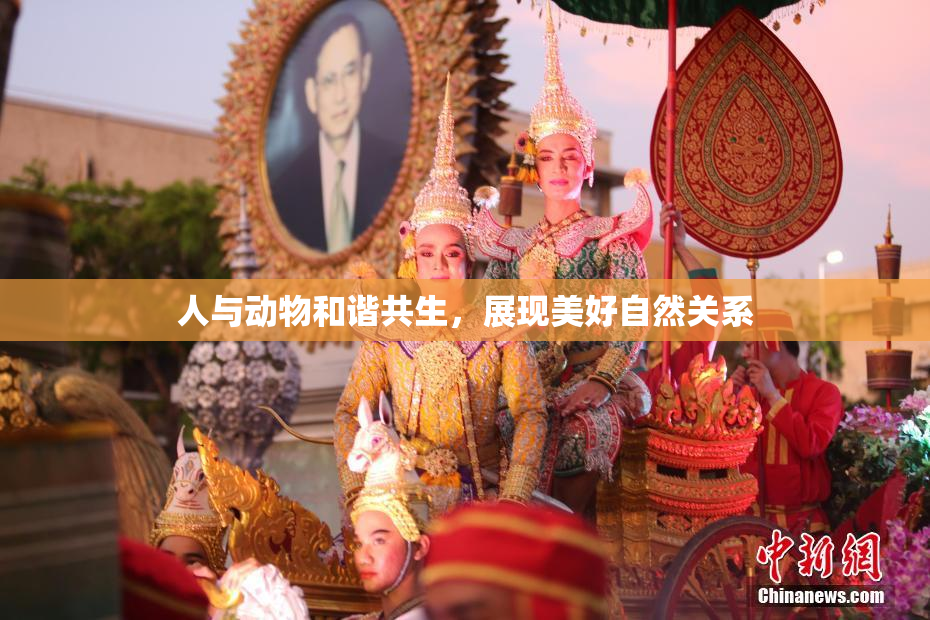 人与动物和谐共生，展现美好自然关系