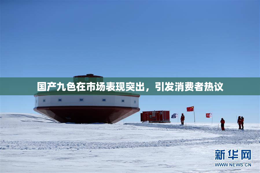国产九色在市场表现突出，引发消费者热议