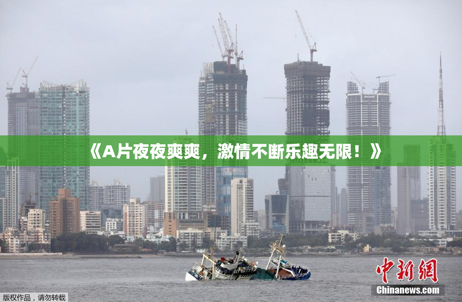 《A片夜夜爽爽，激情不断乐趣无限！》