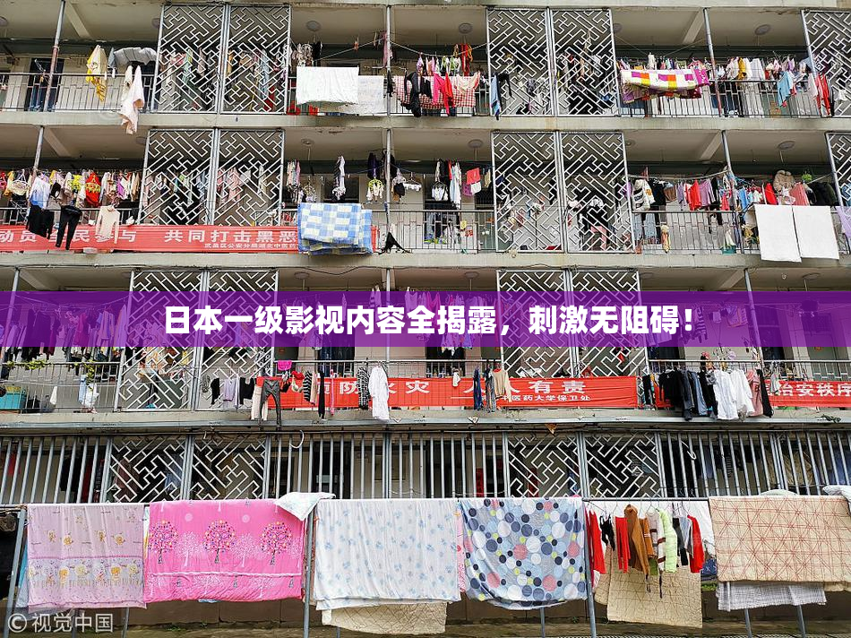 日本一级影视内容全揭露，刺激无阻碍！