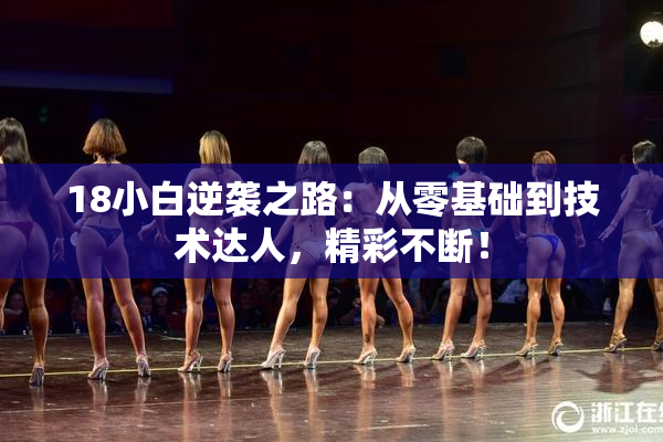18小白逆袭之路：从零基础到技术达人，精彩不断！