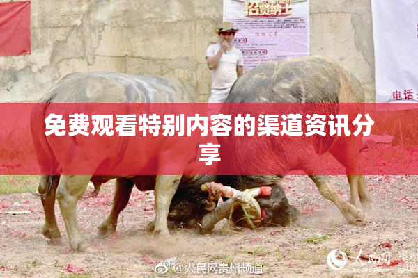 免费观看特别内容的渠道资讯分享
